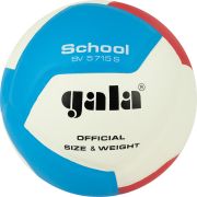 Мяч волейбольный GALA School 12, размер 5